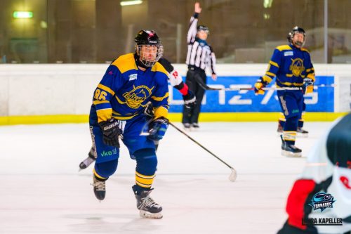 Eisbaeren-vs-LakersTraun-20260119-14