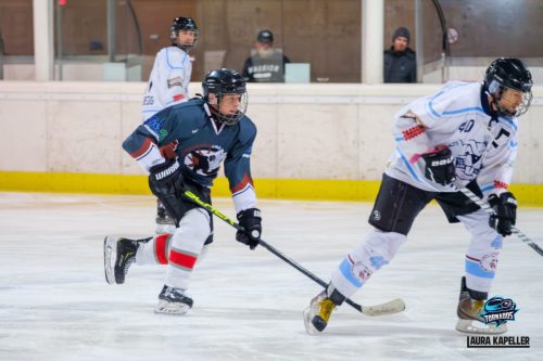 IceBreakers-vs-Beavers-20251201-7